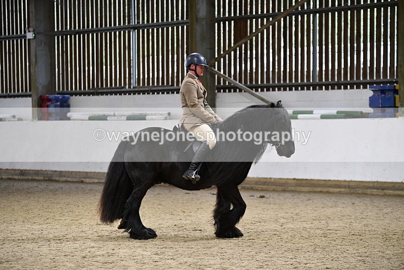 WJ5_8606 - Class 14 Novice Ridden/Rider
