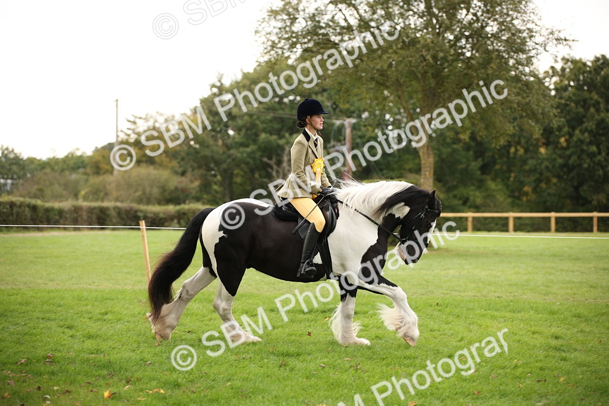 SBM_73601 - S68 - Traditional Cob Ridden