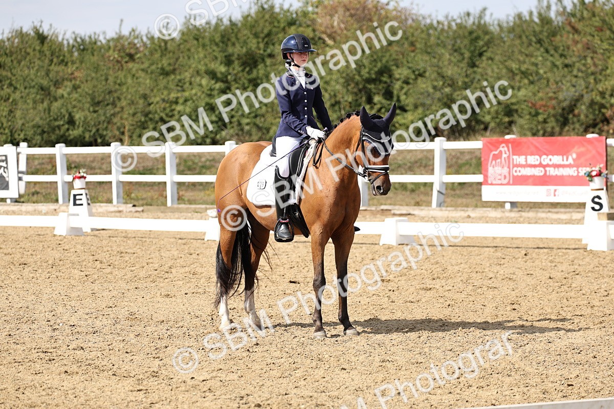 SBM_014851 - Class 7 - Medium 3