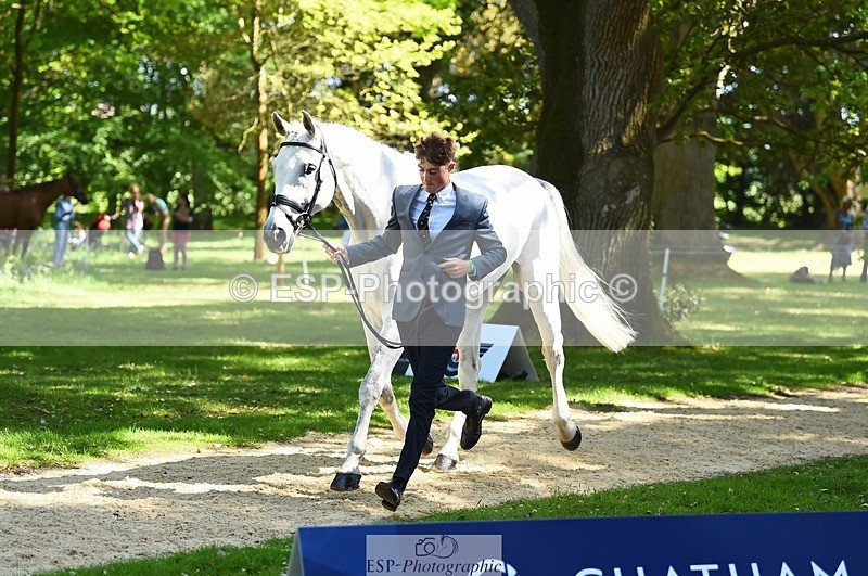 230524-152254-00233 - 313-LOUISBOURG_C-Jack_Whiteford-WEDTrotUp+DR