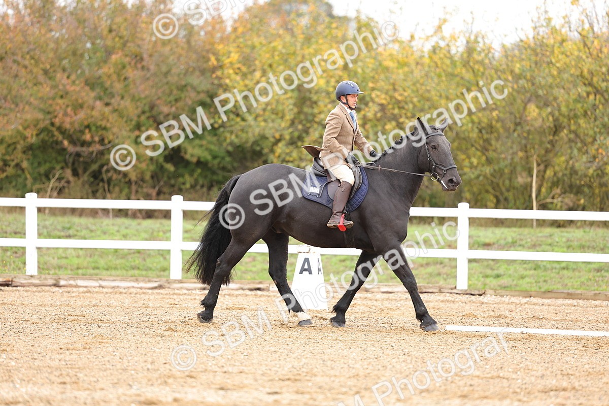 SBM_000115 - Intro 2