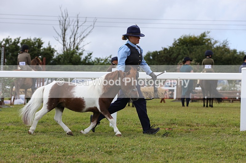 1X9A4750 - Class 35: Veteran In Hand