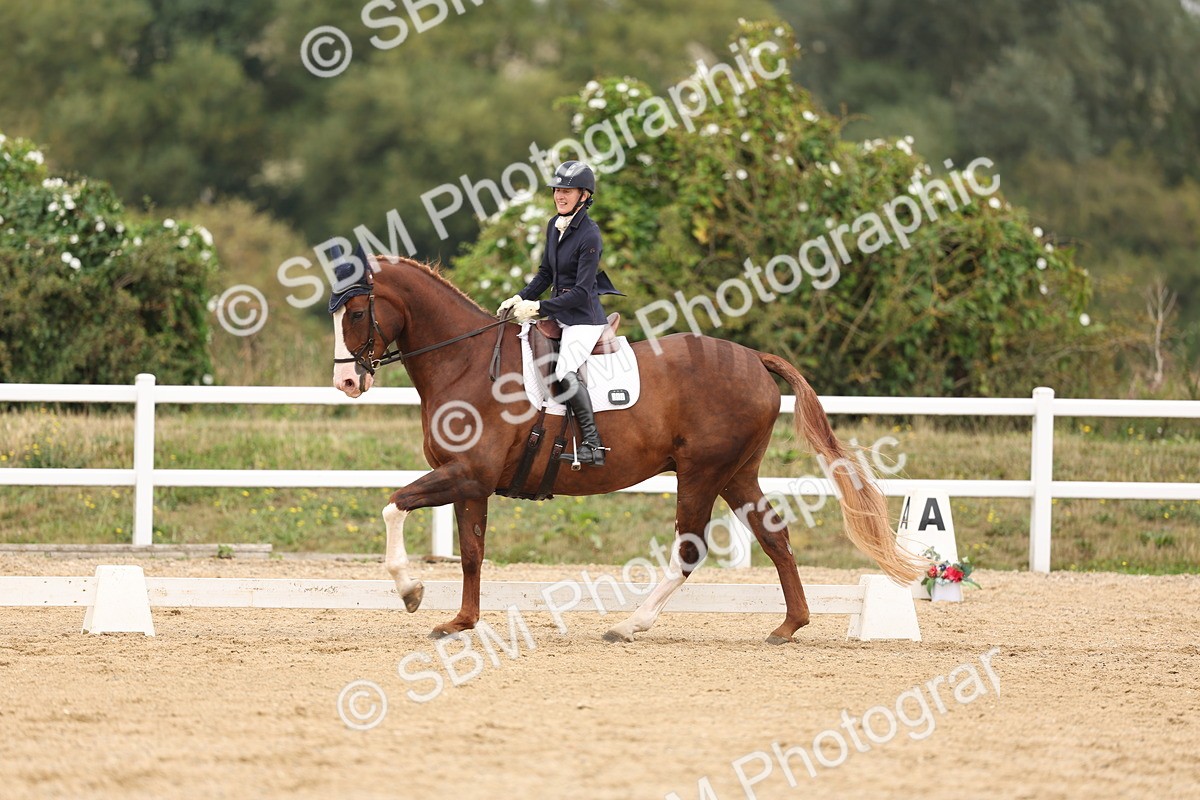 SBM_01647 - Class 9 - Novice 27 Champs