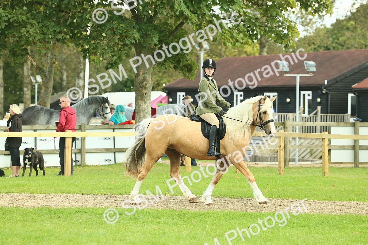 SBM_62646 - S63 - Other Coloured Horse Ridden