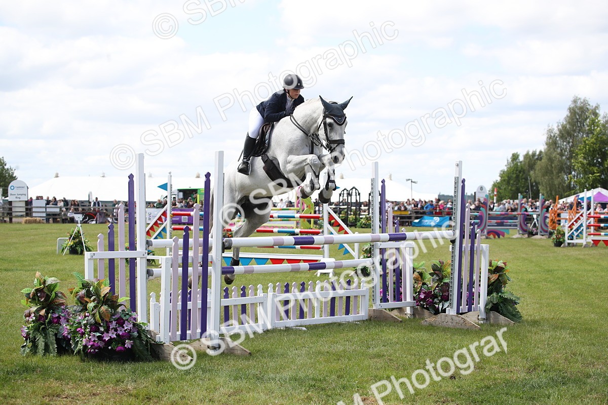 SBM_17417 - Class 208 - Senior Foxhunter 1.20m Open