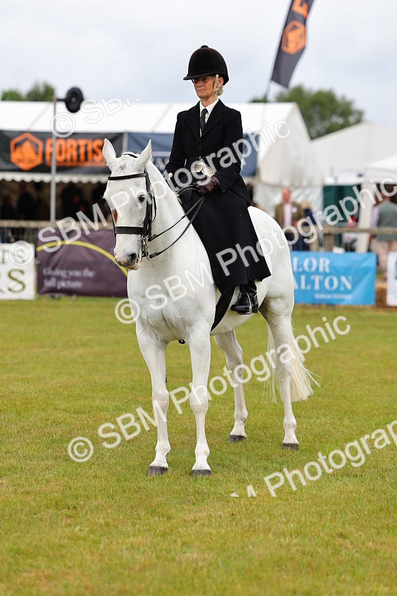 SBM_02961 - Class 9-11 Side Saddle including LIHS Rising Star Ladies Show Horse