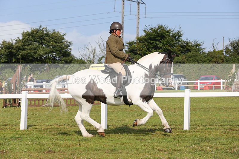 1X9A3232 - Class 28: Ridden Native/Trad Coloured Pony