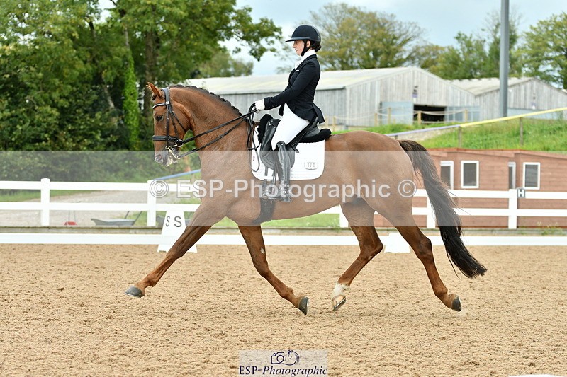 230912A-152842-01573 - Cls 13 Adv Medium 91