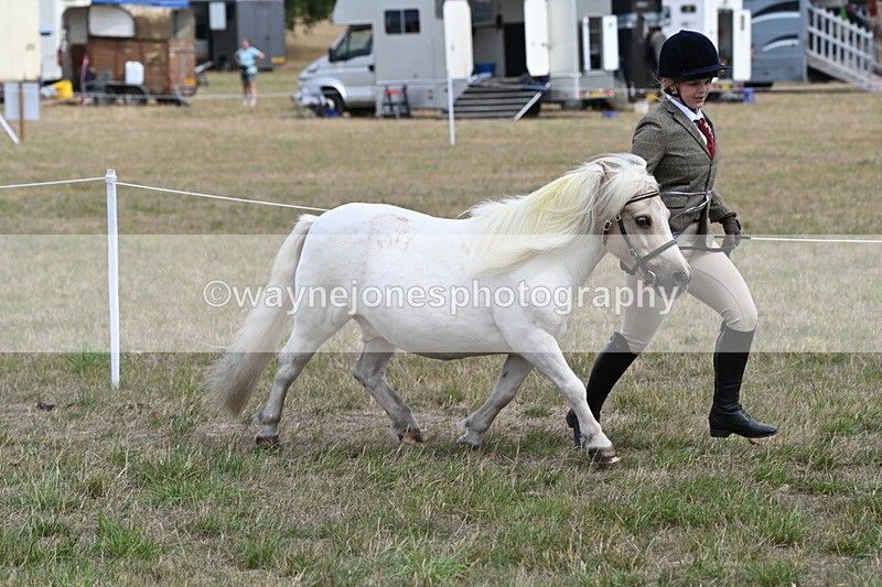 WJ6_5959 - Class 19 In-hand Veterans (Uploaded correct folder)