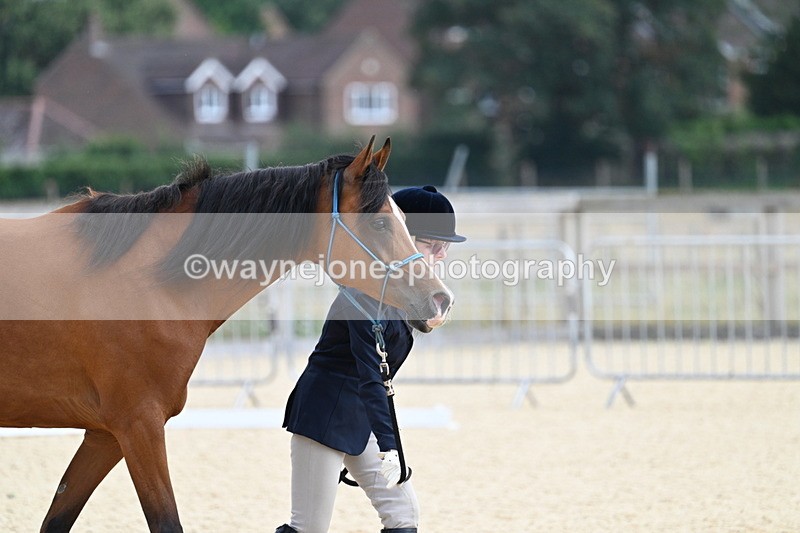 WJ7_1834 - In Hand