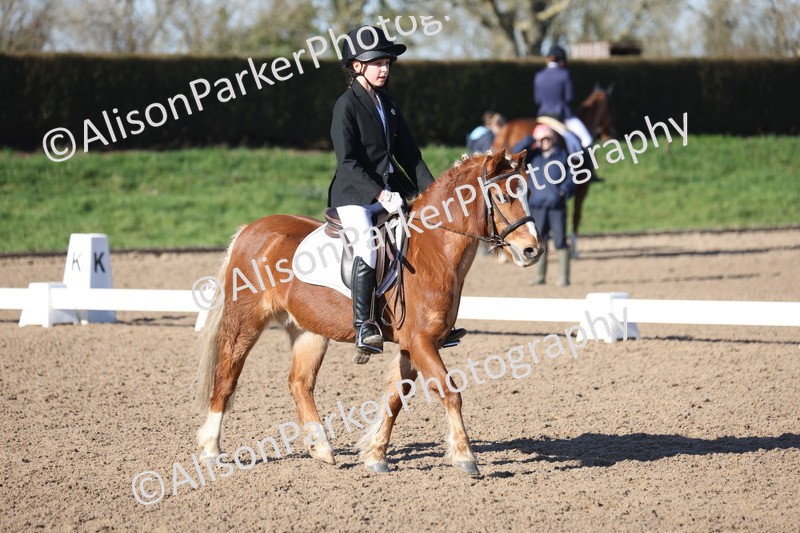 20260214-0272 - Class 3 - Prelim 2