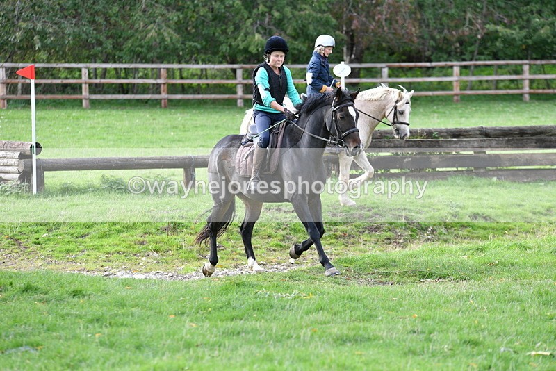 WJ5_0478 - Time 13:59 to 14:28