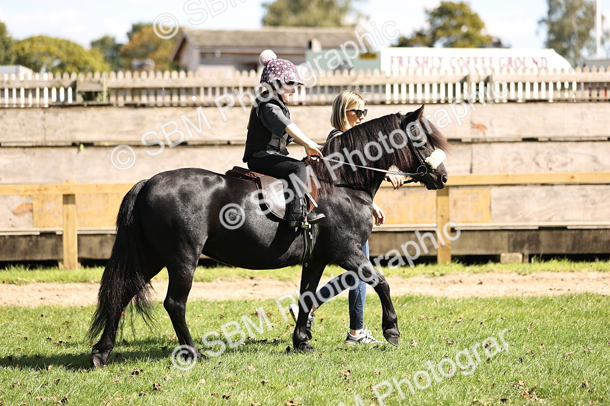 SBM_23050 - S4 - Have a Go at Working Equitation