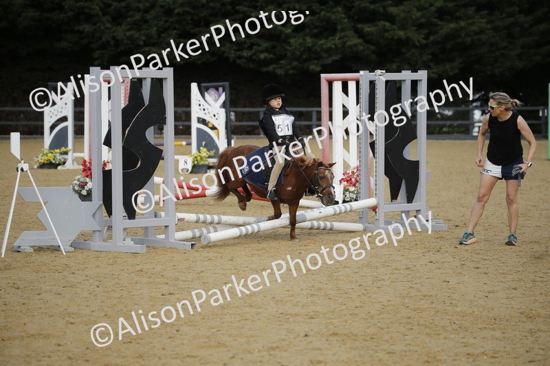 20250622-1355 - 40cm