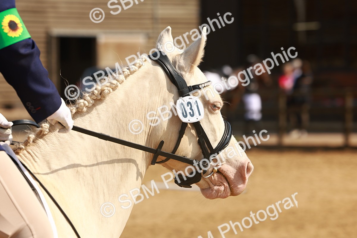 SBM_000060 - Class 1 - Intro 2