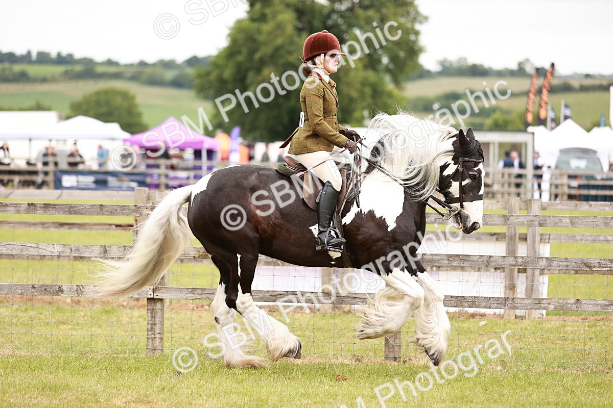 SBM_06122 - Class 39-41 TGCA In Hand and Ridden