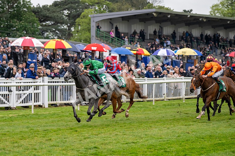 040524-Race 4-Star Of Lady M-4510 - Race 4