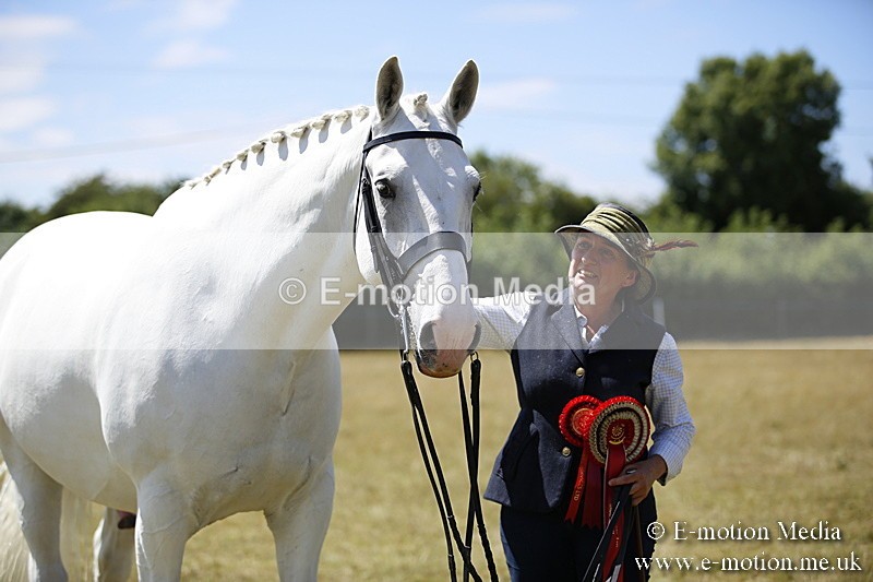 _C7A0173 - In Hand Championship BVRC Show 2018