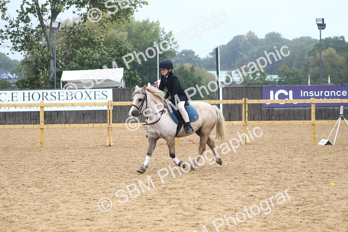 SBM_71574 - J4 - Mini Tour Junior Pony 45cm Championship