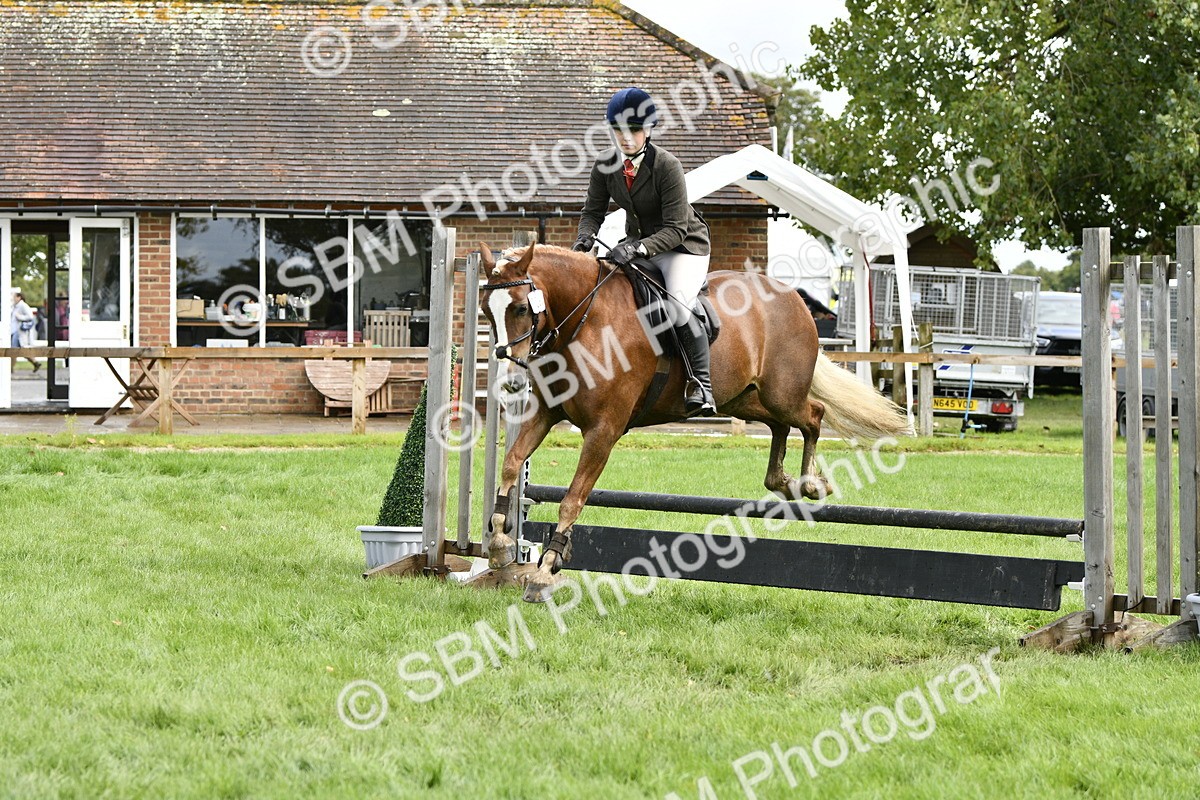 SBM_45638 - S33 - Working Hunter Pony