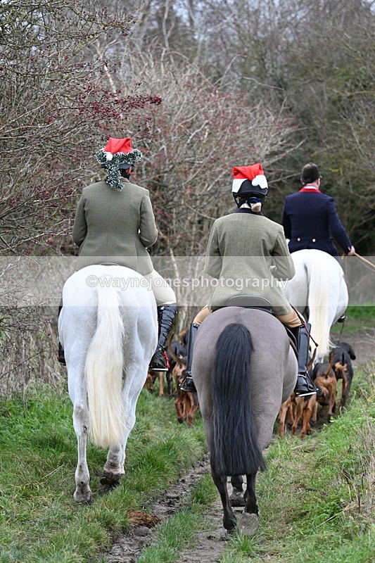 WJ7_0848 - First Seen