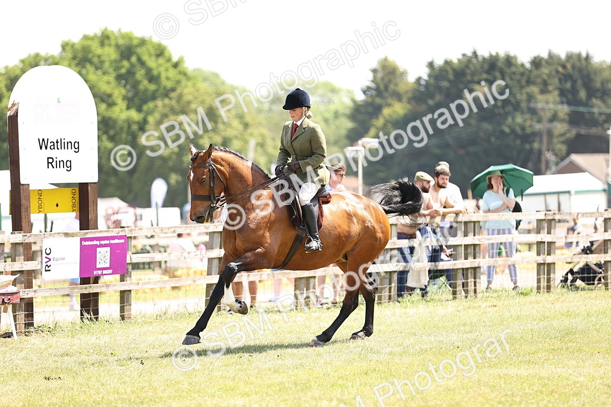 SBM_15124 - Class 79-80 - LIHS BSHA Rising Star Ridden Hunter