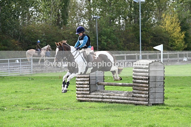 WJ7_8472 - 60cm Pairs