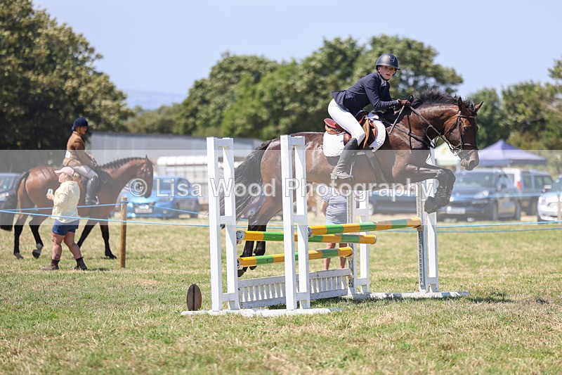 3E7A4462 - Class 10: Senior British Novice/90cm open