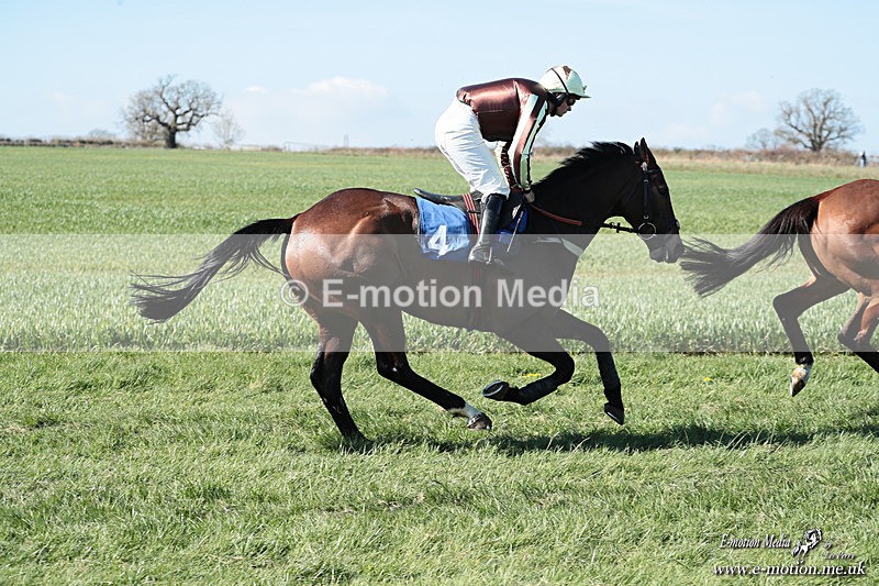 PtP 210326 95 - VWH Cirencester Races 21/03/26