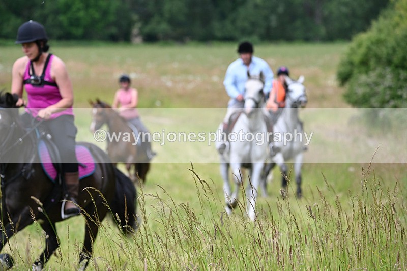 WJ6_8084 - Camera 1 Gallops