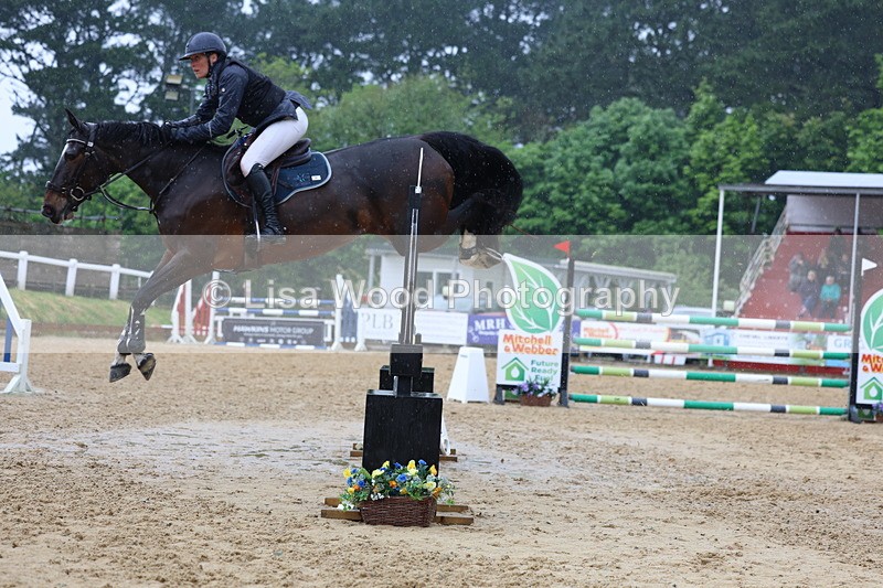 3E7A7454 - Class 8: Senior Foxhunter/1.20 open