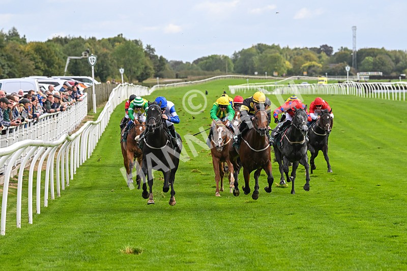 021024-Race 2-Al Hussar-9157 - Race 2