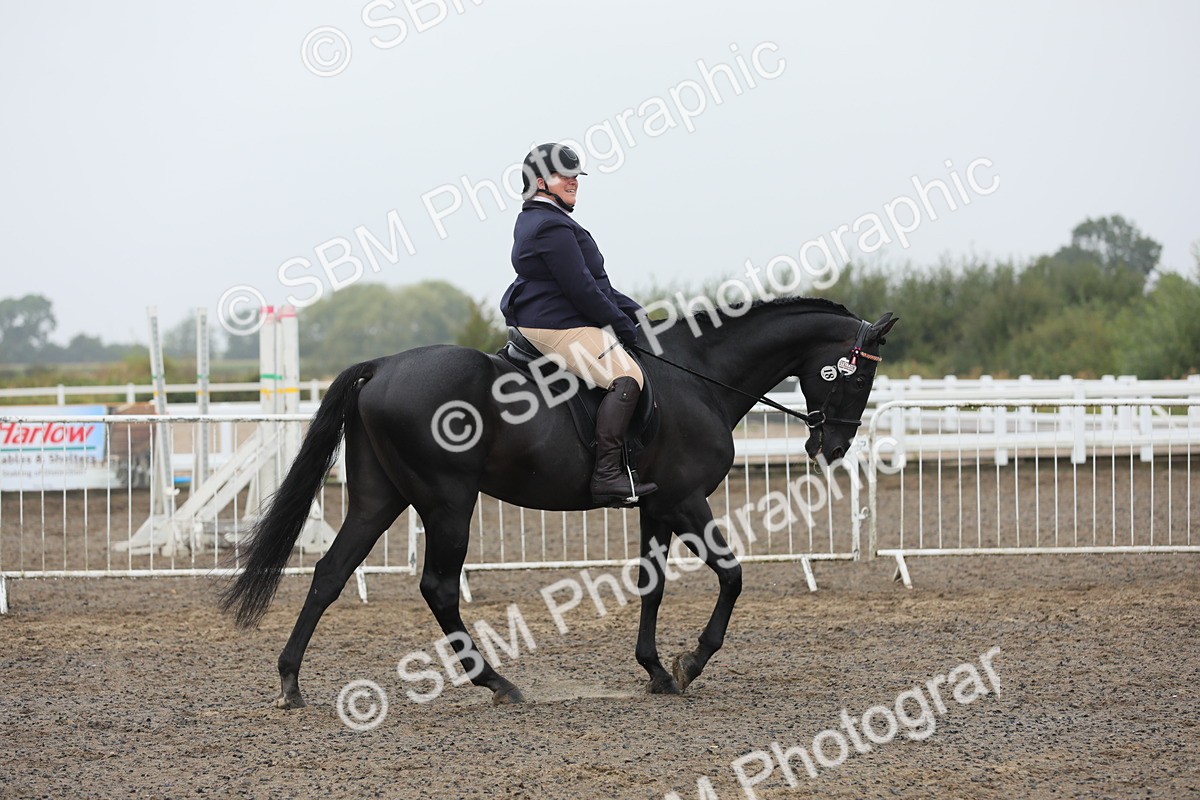 SBM_21220 - Class 805 - Ridden Veteran Horse