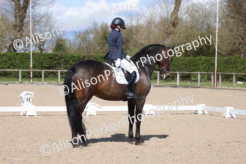 20260405-0639 - Class 7 - Medium 5