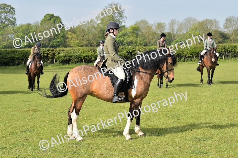 20260426-0924 - Class 18 - Novice Showing
