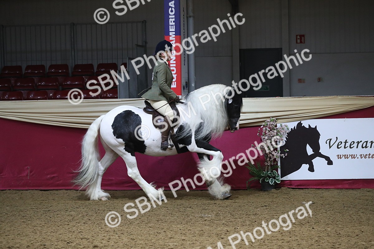 SBM_10385 - Class 102 Equitation (best rider) Adult