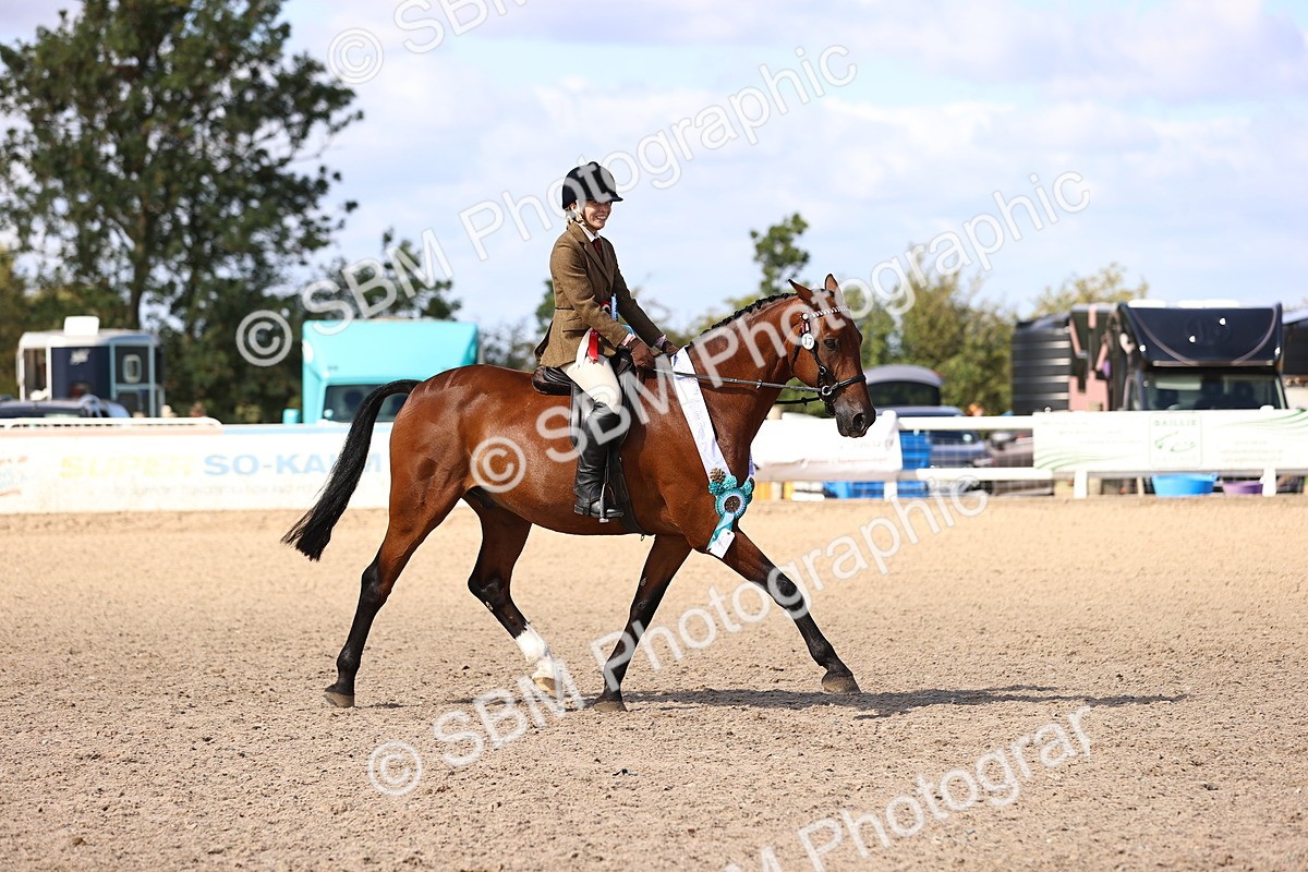 SBM_12999 - Class 410 - Grassroots Ridden - Horse