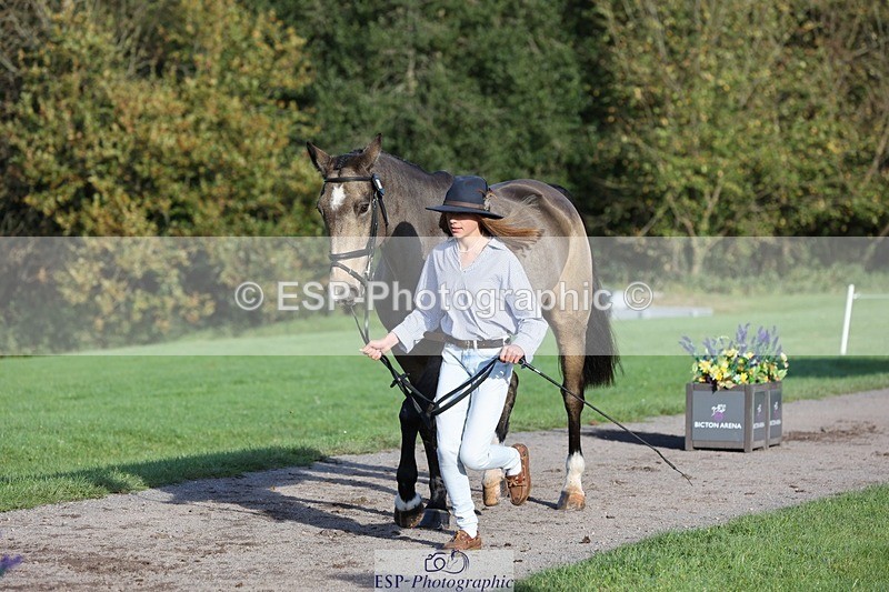 241027-093252-15344 - 319-Neve.Webber-MR.BUZZ