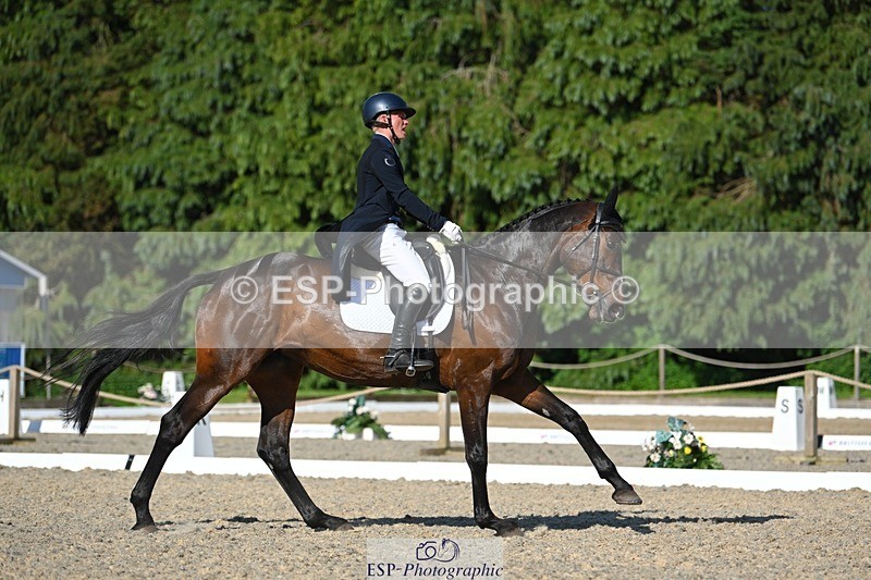 230526-172006-07575 - 262-TREAMBLE-Finn_Healy-WEDTrotUp+DR