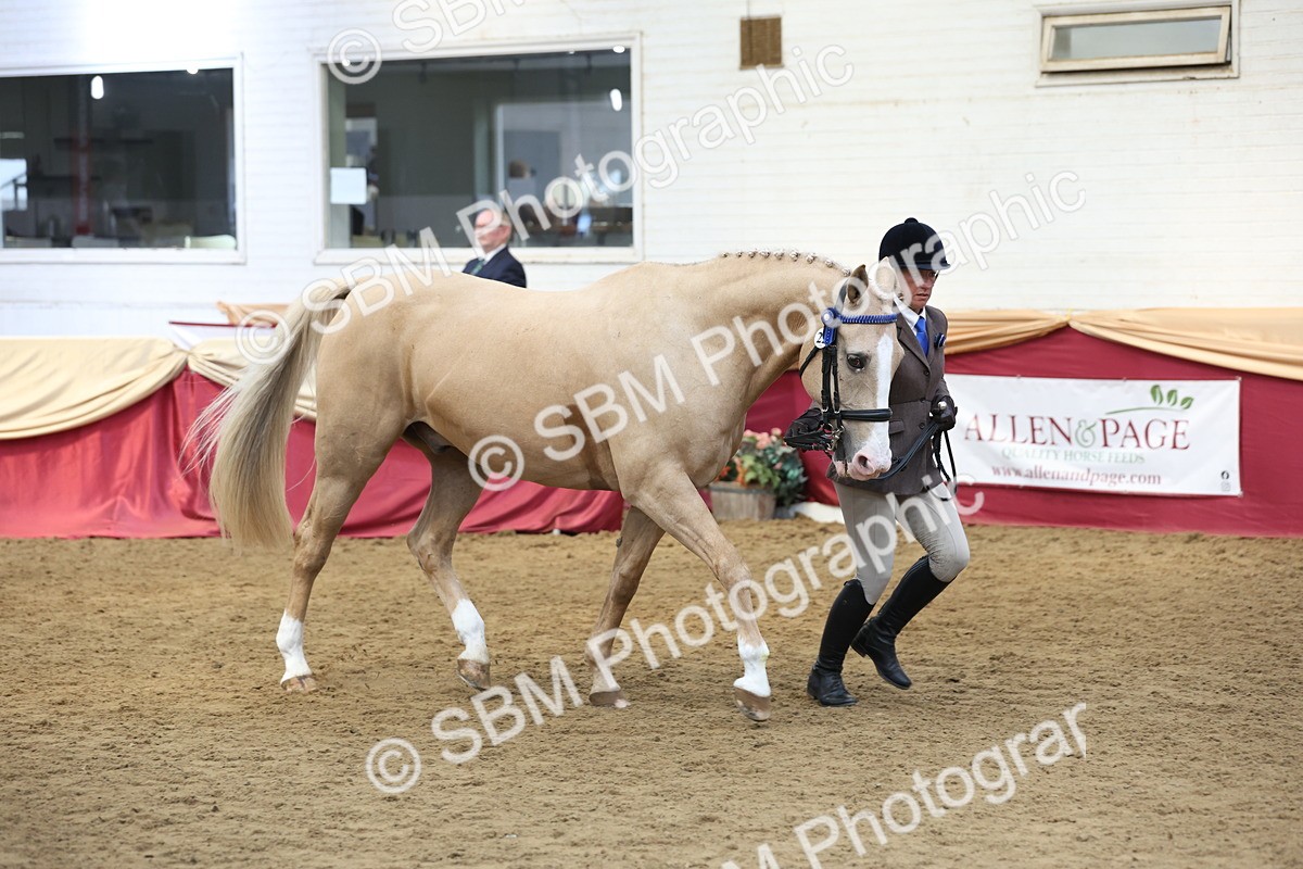 SBM_24093 - Class 905 - Supreme Final - Ridden Veteran
