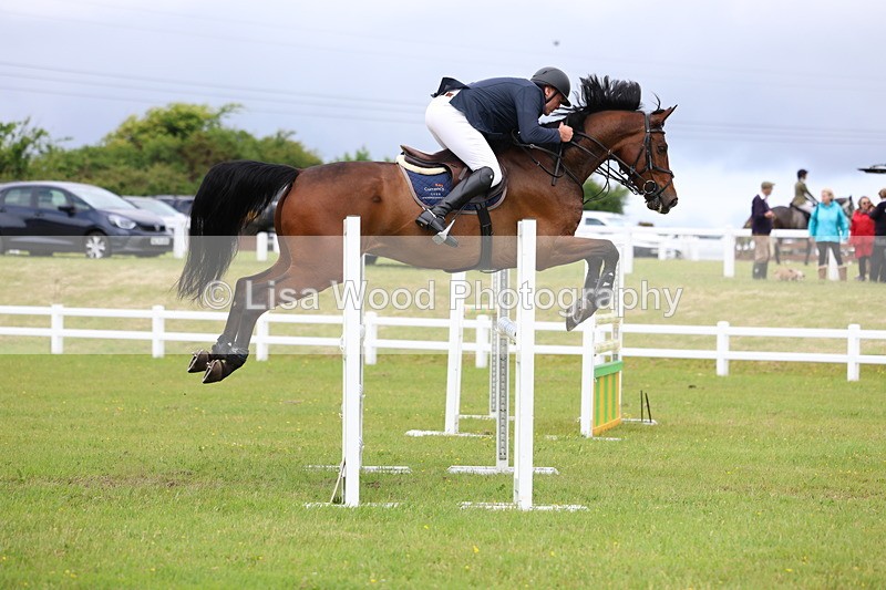 3E7A7144 - Class 12: Senior Foxhunter/1.20 open