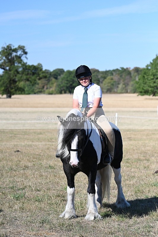 WJ7_2135 - Class 44 Child's Best Friend