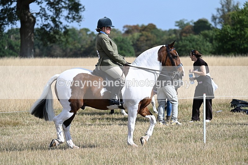 WJ7_2681 - Class 8 Ridden Tack & Turnout