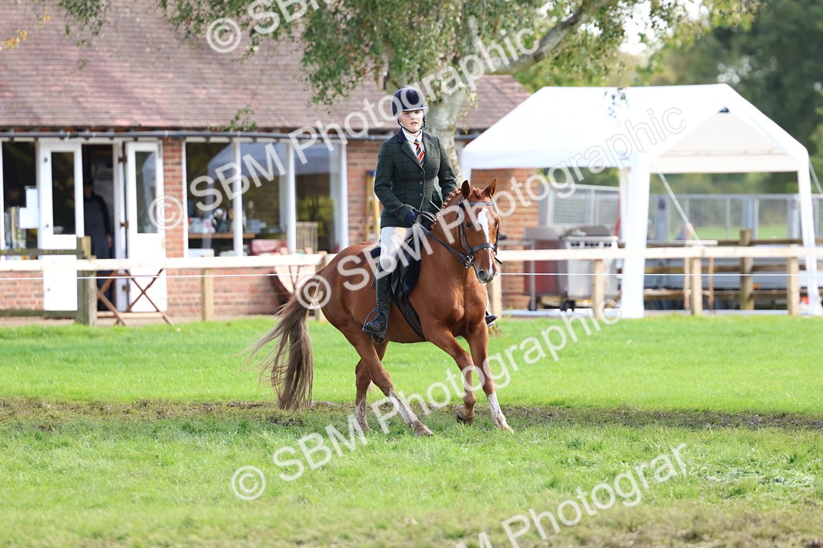 SBM_45306 - S27 - Young Veteran Ridden