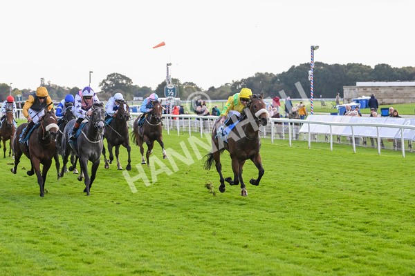 111024-Race 4-End Of Story-1807 - Race 4 3.10pm Parsonage Hotel And Cloisters Spa Nursery Handicap