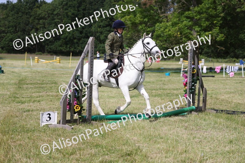 20260614-0647 - Class 20 - Beginners Working Hunter Pony