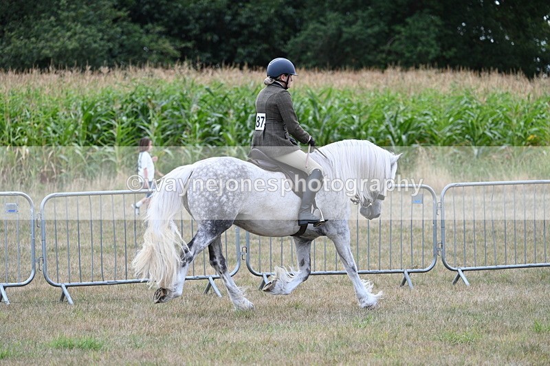 WJ7_4819 - Class 12 Ridden Cob