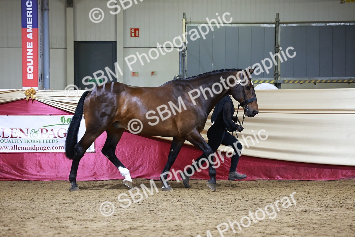 SBM_20464 - Class G - IH Large (over 148cm)Champ