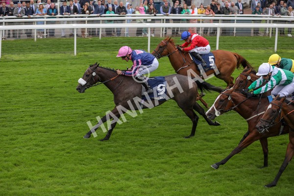 120724-Race 2-Flora Of Bermuda-1640 - Race 2 2.40pm William Hill Summer Stakes