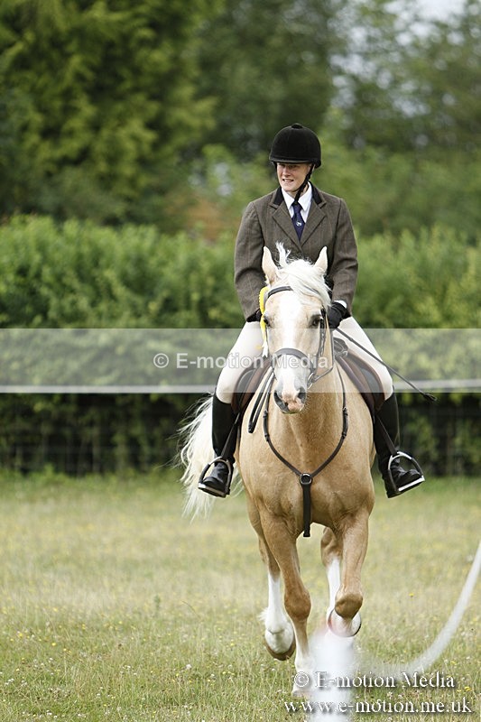 BVR160717-435 - Ring 3 BVRC Show 16/07/17